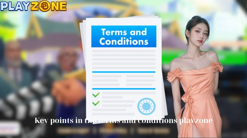 Key points in the terms and conditions playzone