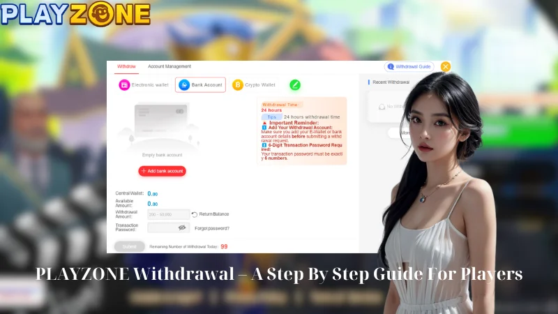 PLAYZONE Withdrawal - A Step By Step Guide For Players